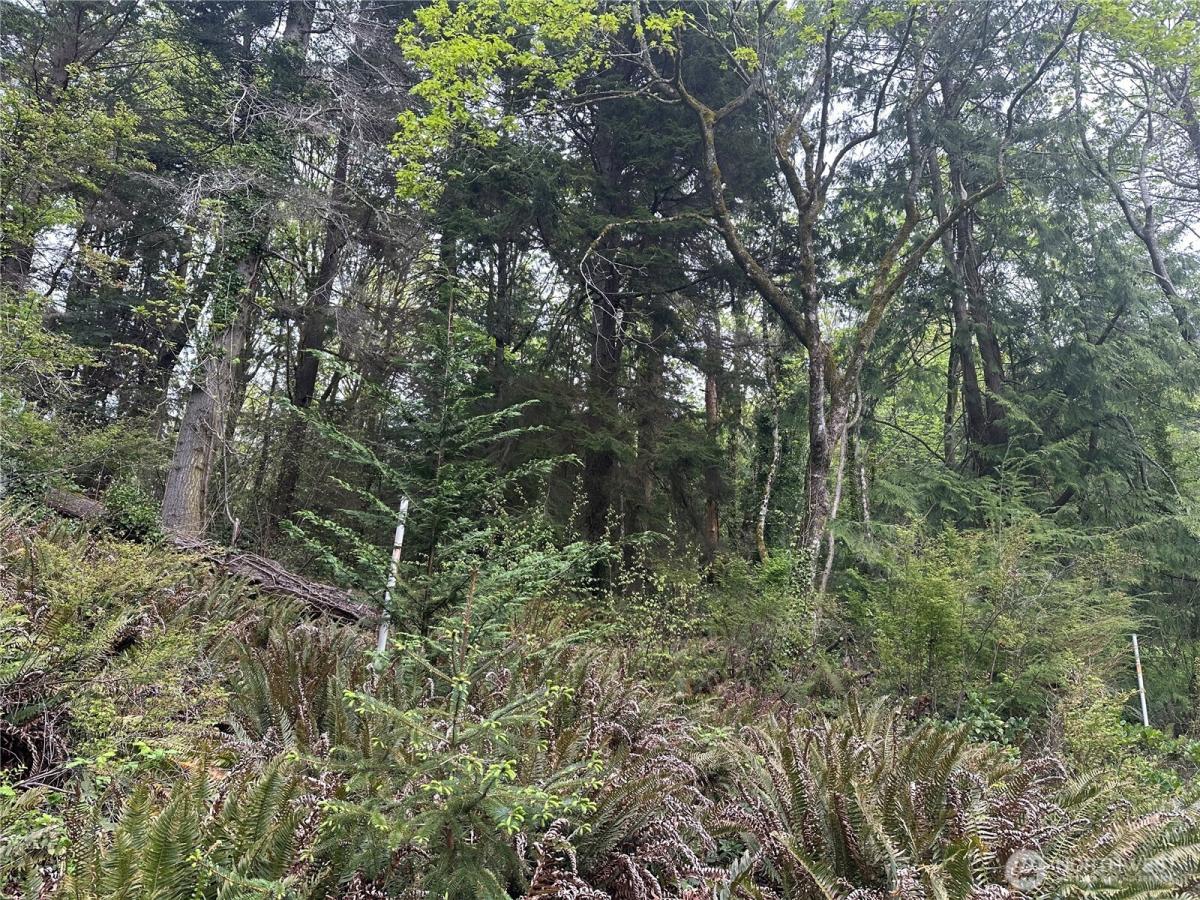 MLS #NWM2511790 image #0