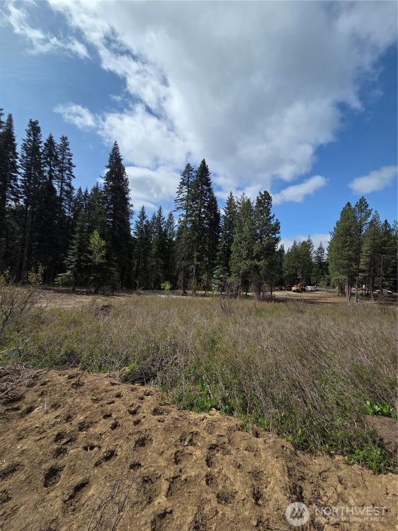 MLS #NWM2512991 image #0