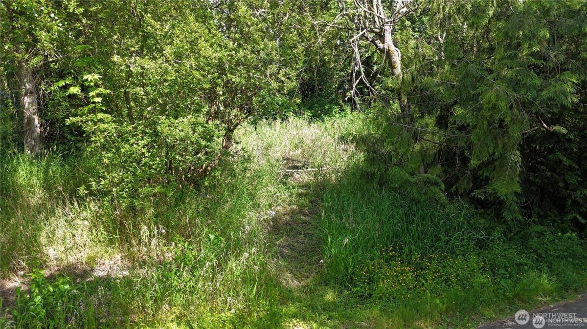 MLS #NWM2513516 image #0