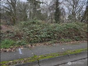 MLS #NWM2514833 image #0