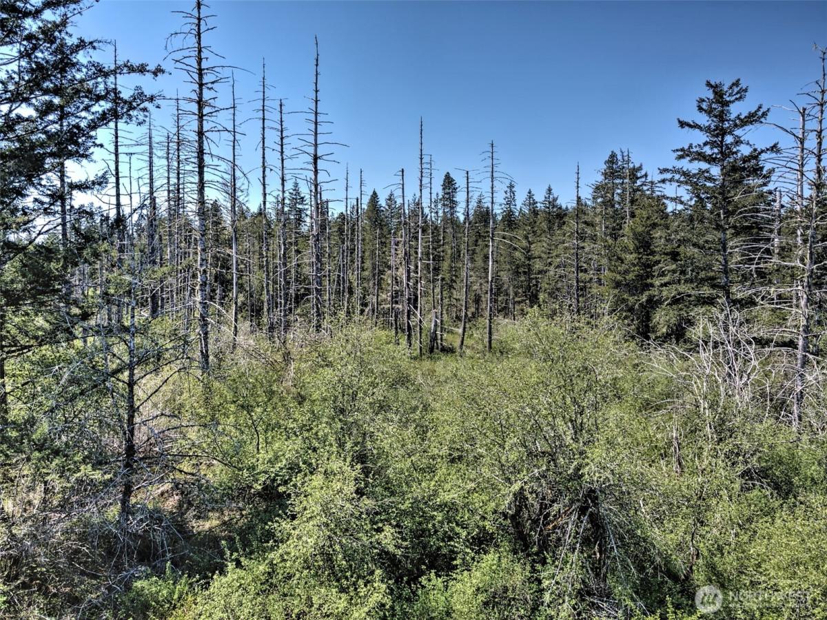 MLS #NWM2517822 image #0