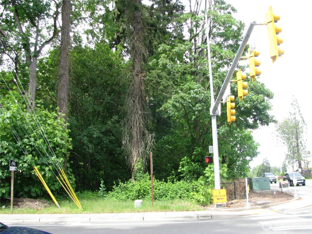 MLS #NWM2520787 image #0