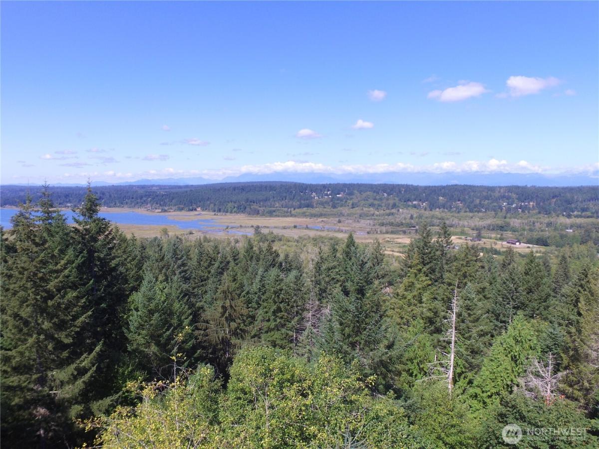 MLS #NWM2521321 image #0