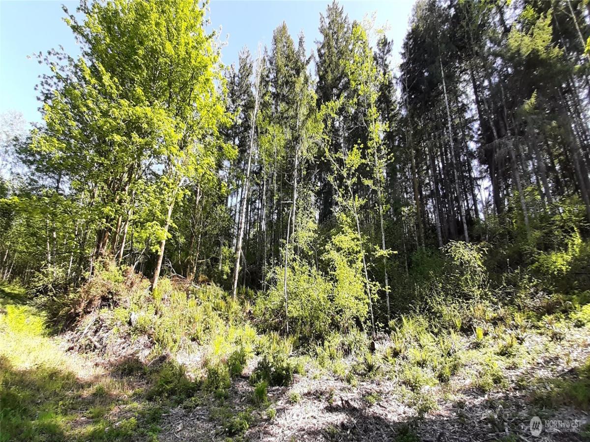 MLS #NWM2521324 image #0