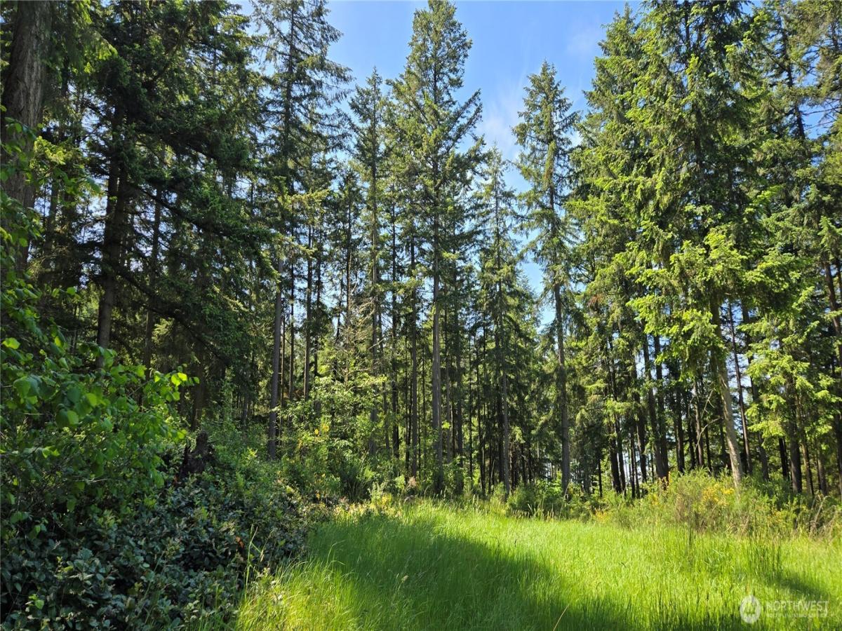 MLS #NWM2521607 image #0