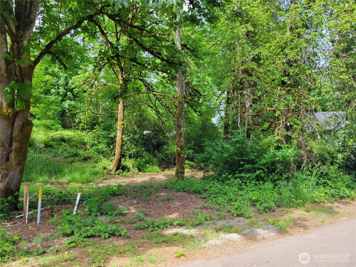 MLS #NWM2522818 image #0