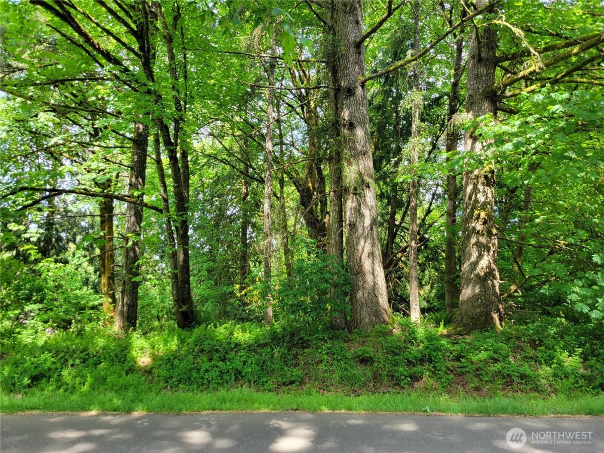 MLS #NWM2522822 image #0