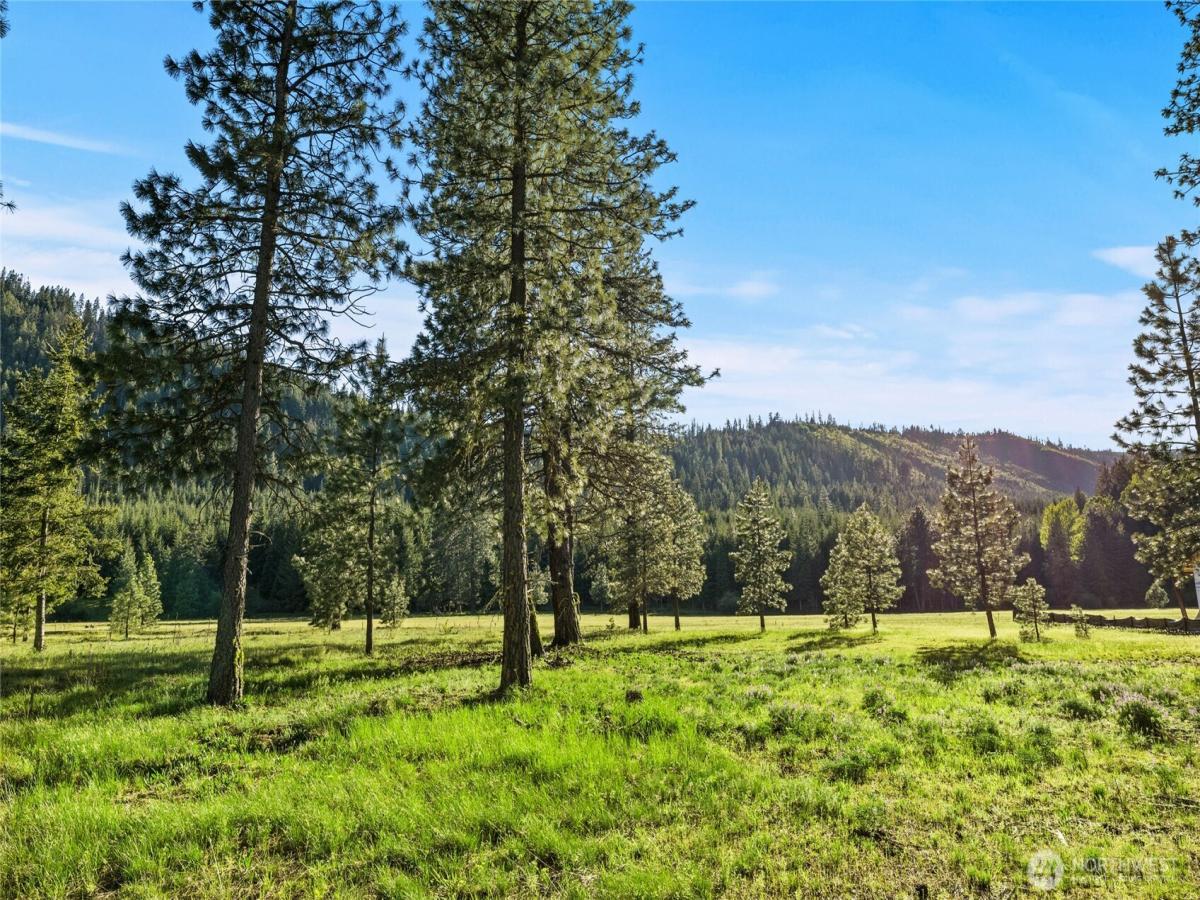 MLS #NWM2523856 image #0