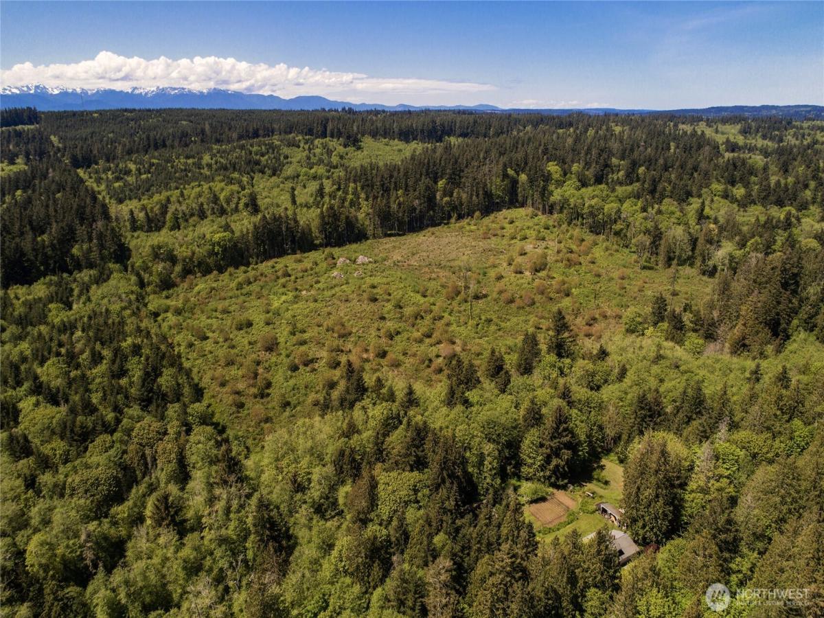 MLS #NWM2524428 image #0