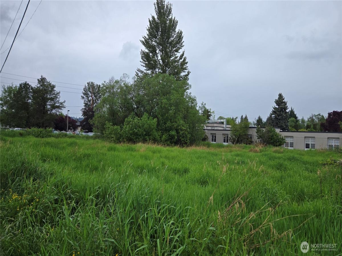 MLS #NWM2525169 image #0