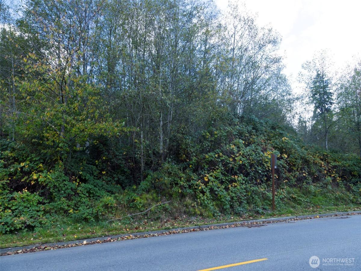 MLS #NWM2525619 image #0