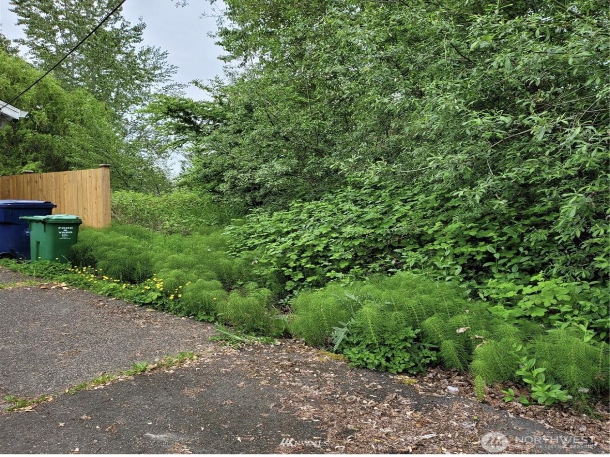 MLS #NWM2527887 image #0