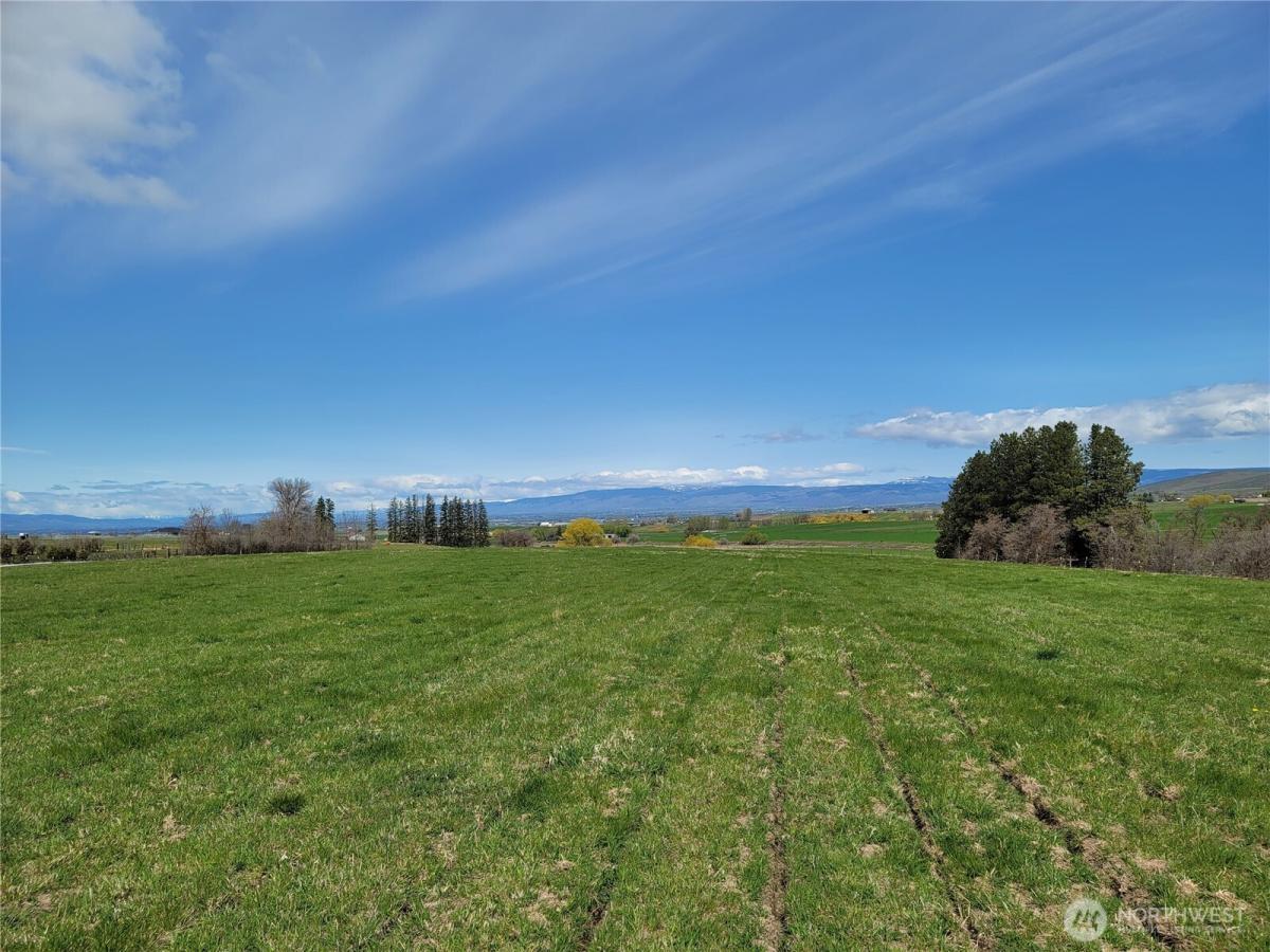 MLS #NWM2528414 image #0