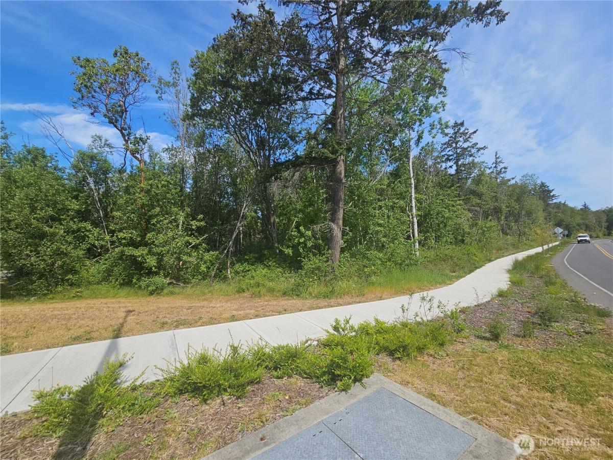 MLS #NWM2528497 image #0