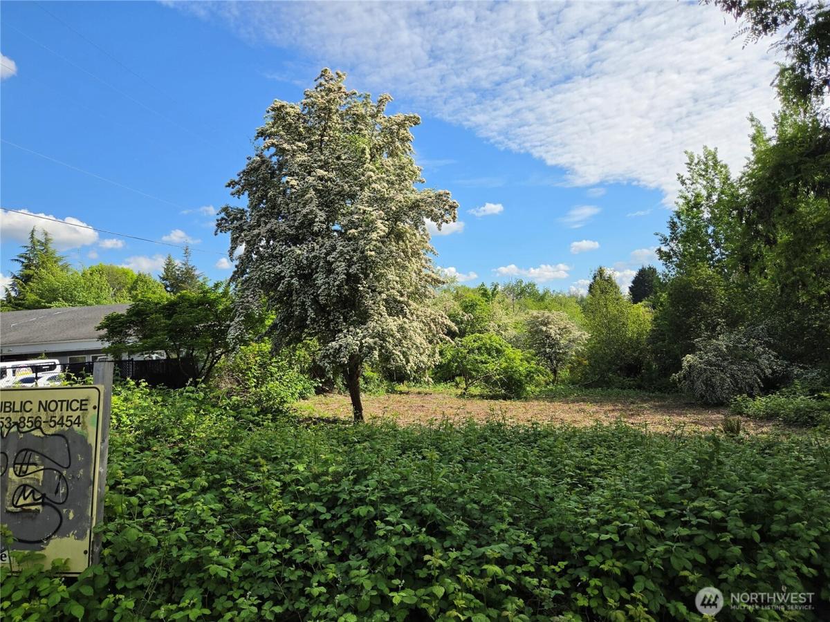 MLS #NWM2528858 image #0