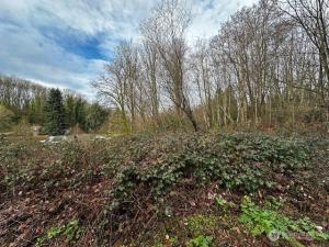 MLS #NWM2530062 image #0