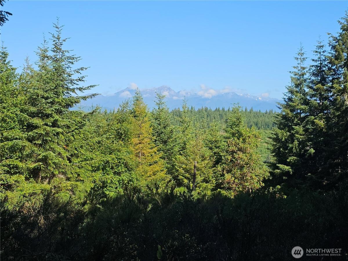 MLS #NWM2530350 image #0
