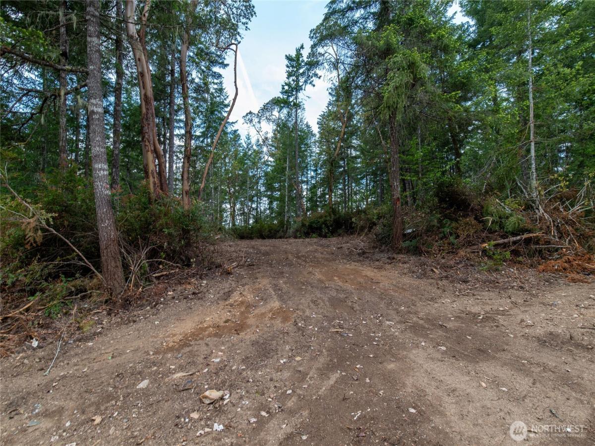 MLS #NWM2530379 image #0