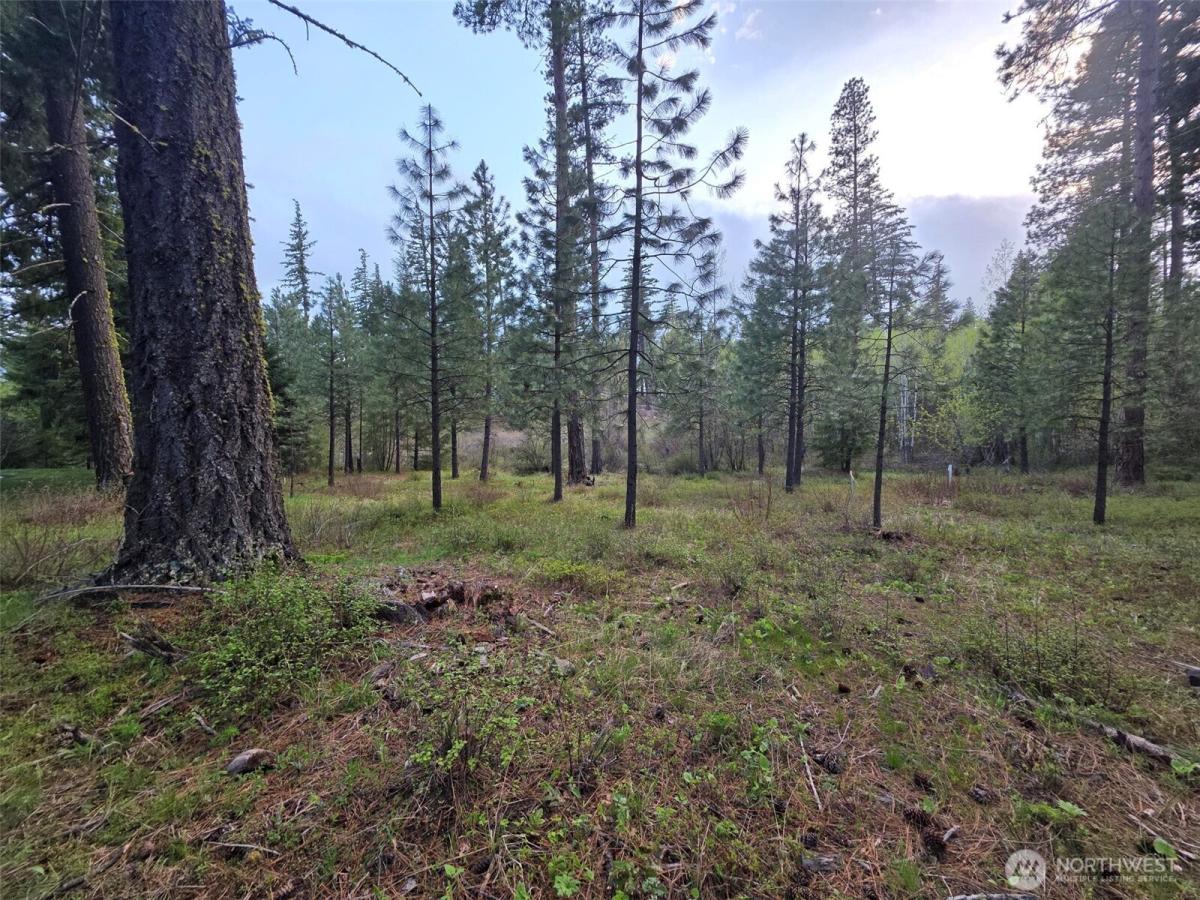 MLS #NWM2533763 image #0