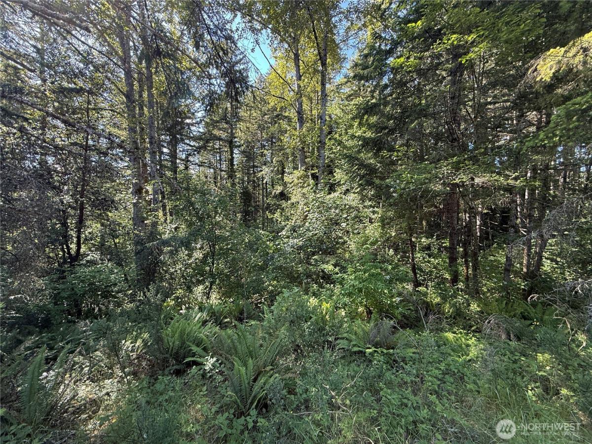 MLS #NWM2534105 image #0
