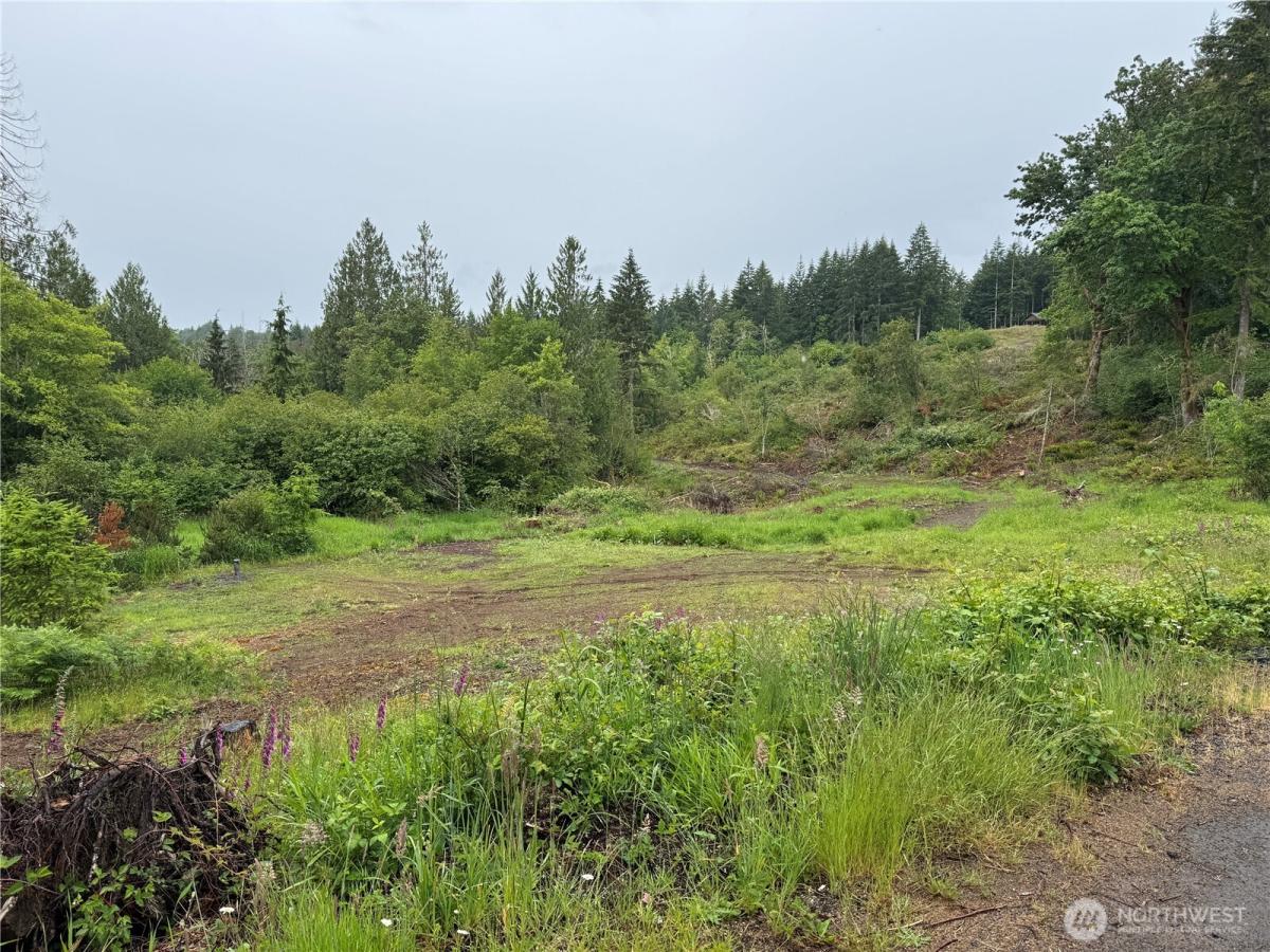 MLS #NWM2538475 image #0