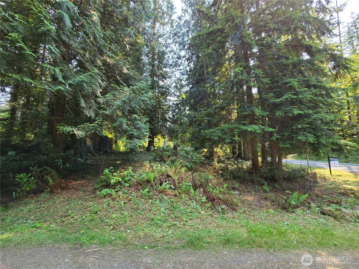 MLS #NWM2539942 image #0
