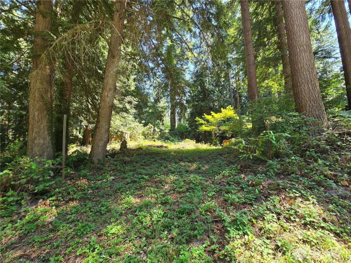 MLS #NWM2539942 image #0