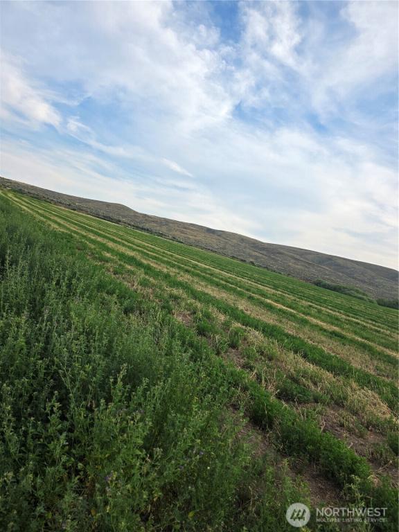 MLS #NWM2540267 image #0