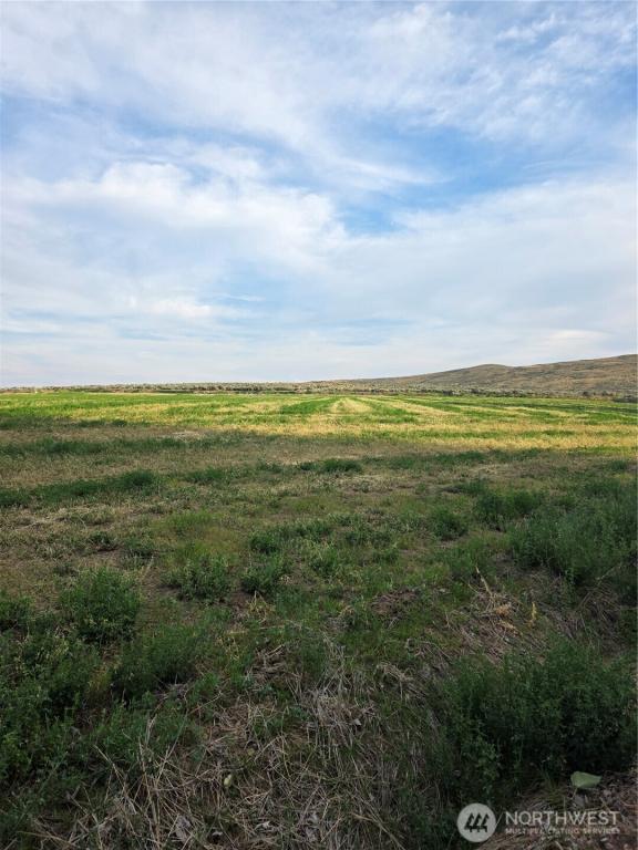MLS #NWM2540269 image #0