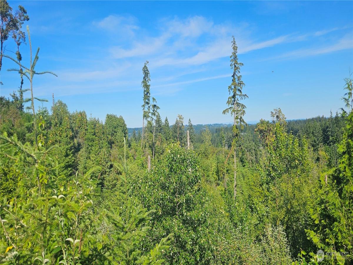 MLS #NWM2541386 image #0