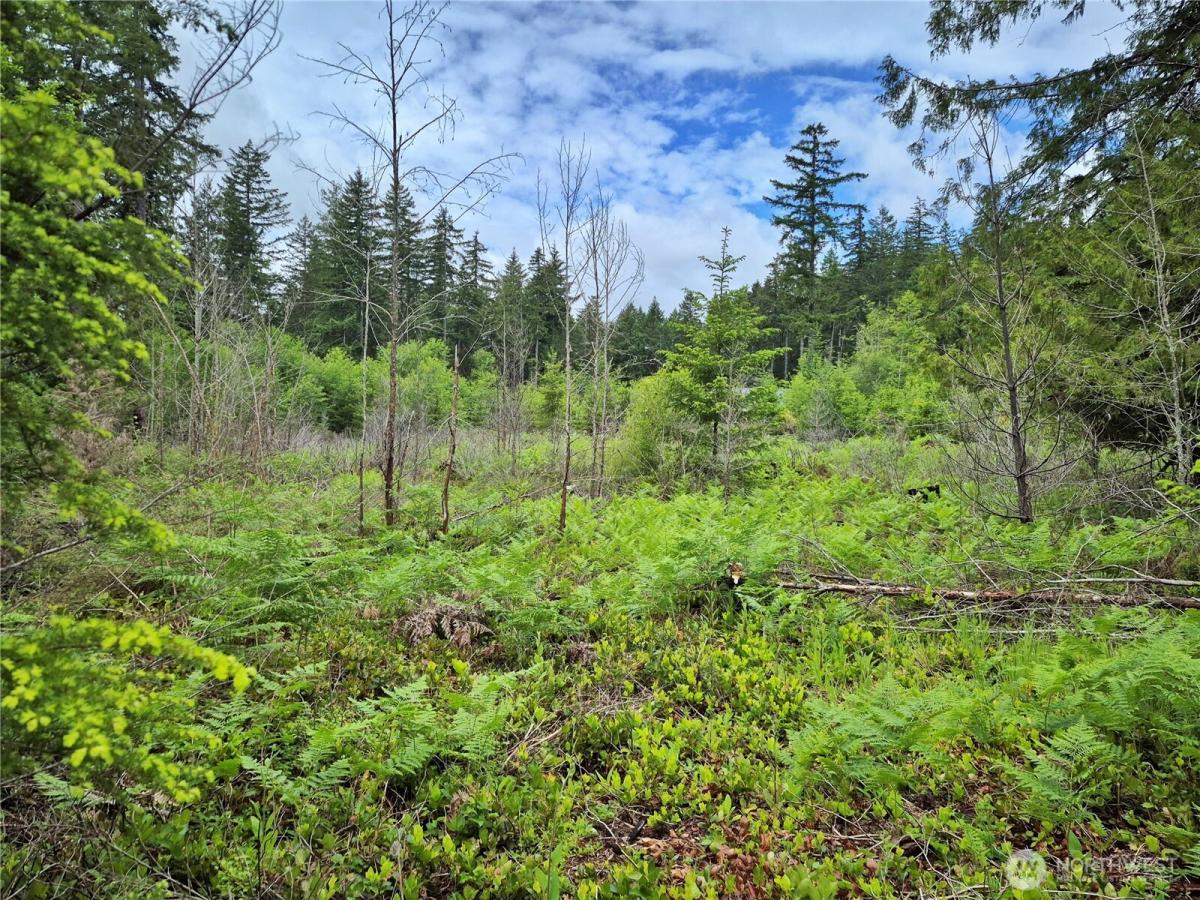 MLS #NWM2541737 image #0