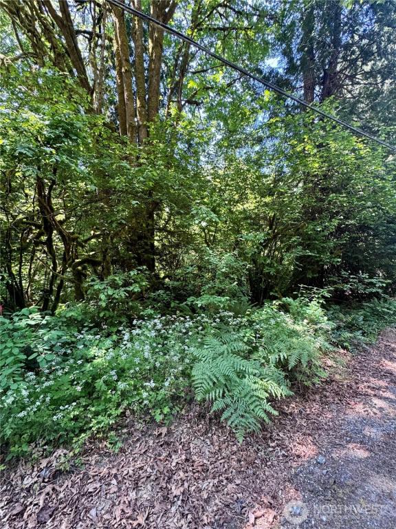 MLS #NWM2544132 image #0
