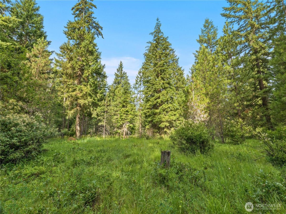 MLS #NWM2545580 image #0