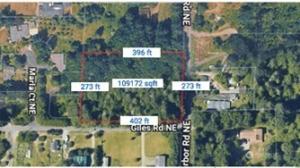 MLS #NWM2548519 image #0