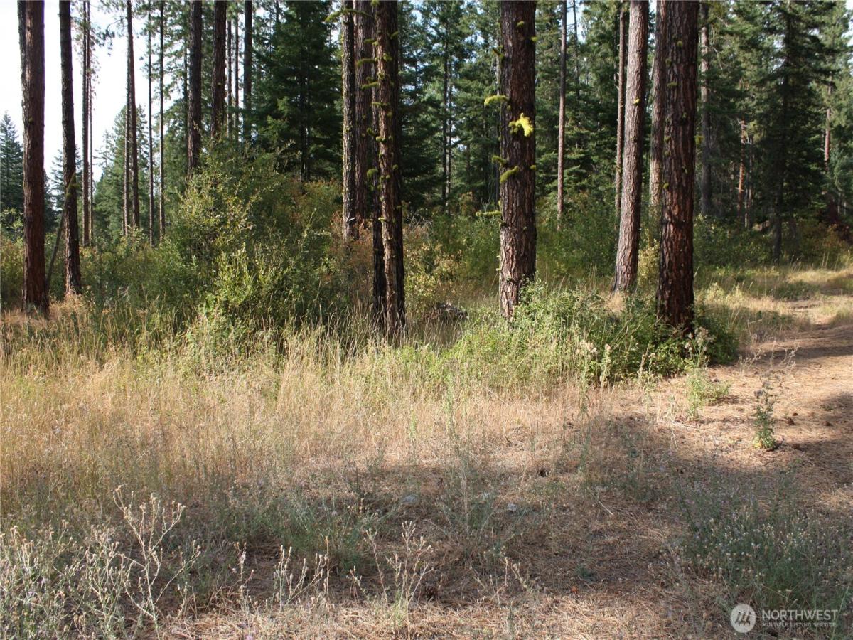 MLS #NWM2549540 image #0