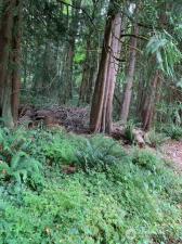 MLS #NWM2552242 image #0