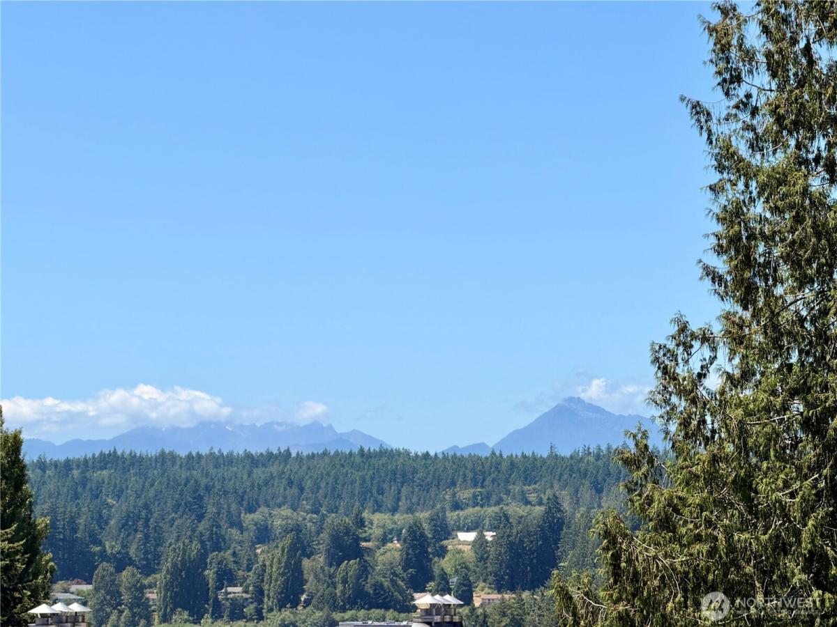 MLS #NWM2552355 image #0