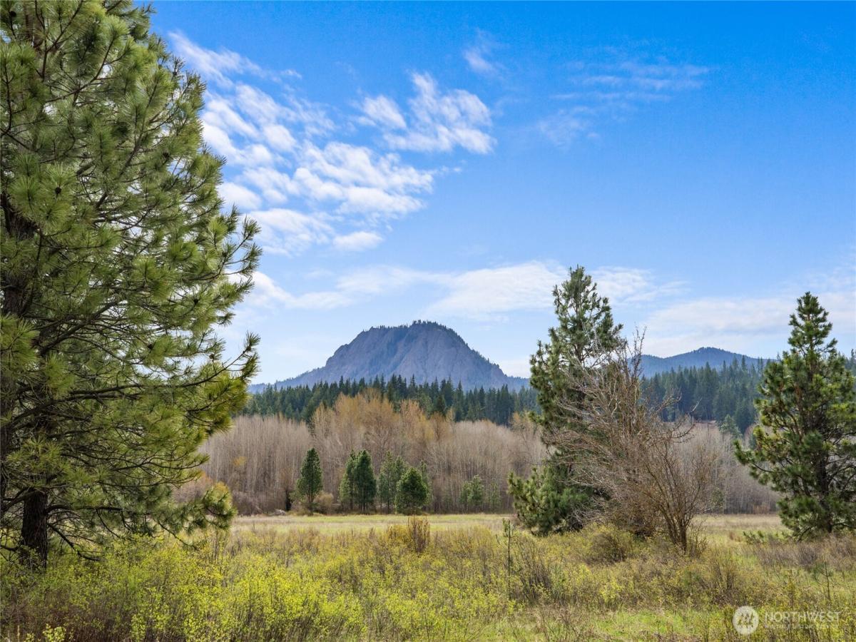 MLS #NWM2552762 image #0