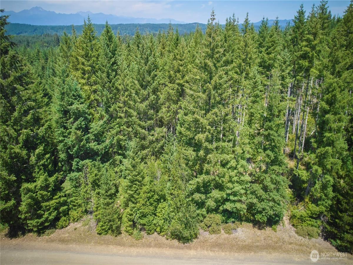 MLS #NWM2553413 image #0