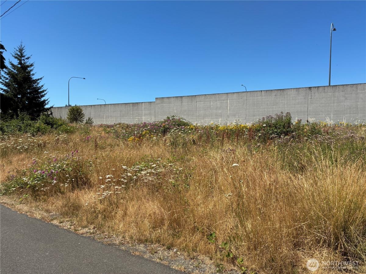 MLS #NWM2554773 image #0