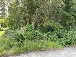 MLS #NWM2556294 image #0