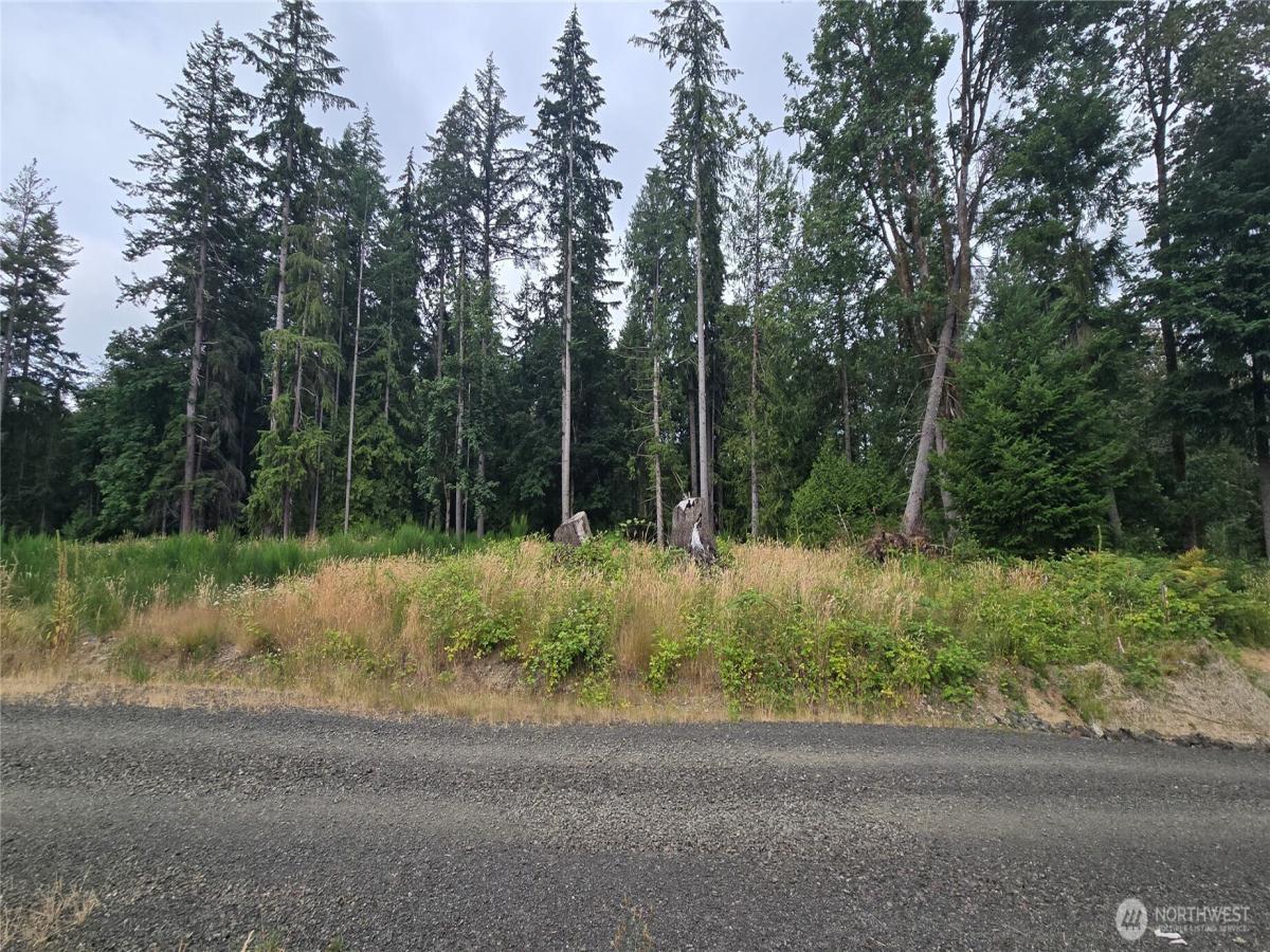 MLS #NWM2556473 image #0