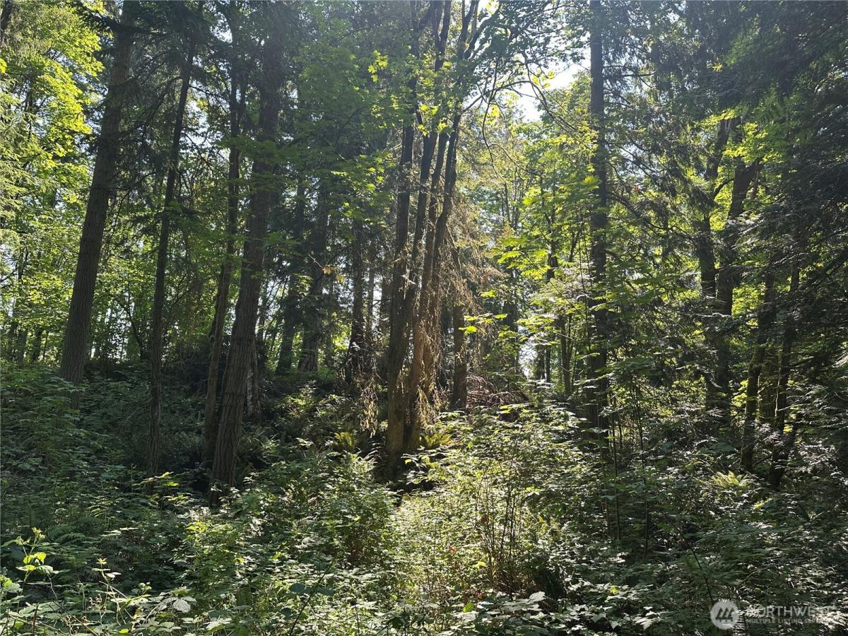 MLS #NWM2557441 image #0