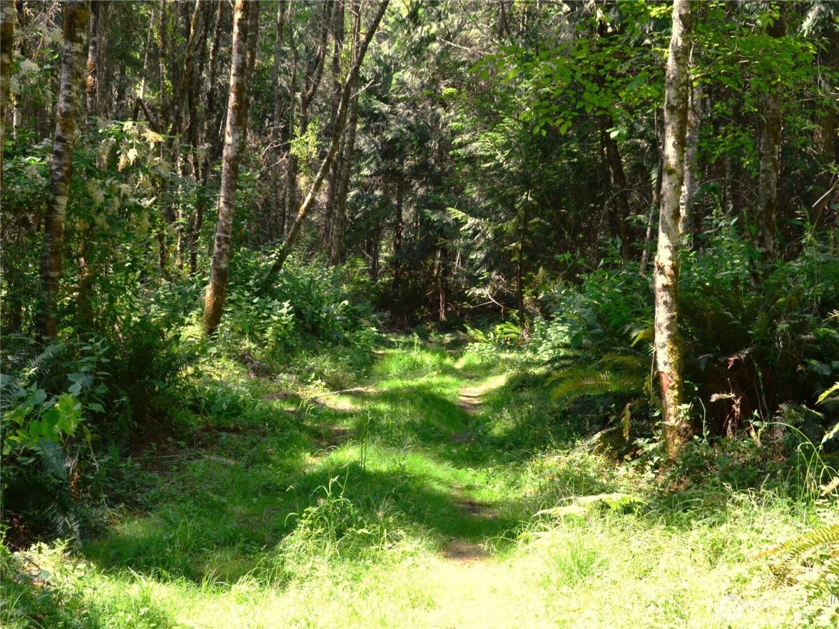 MLS #NWM2559446 image #0