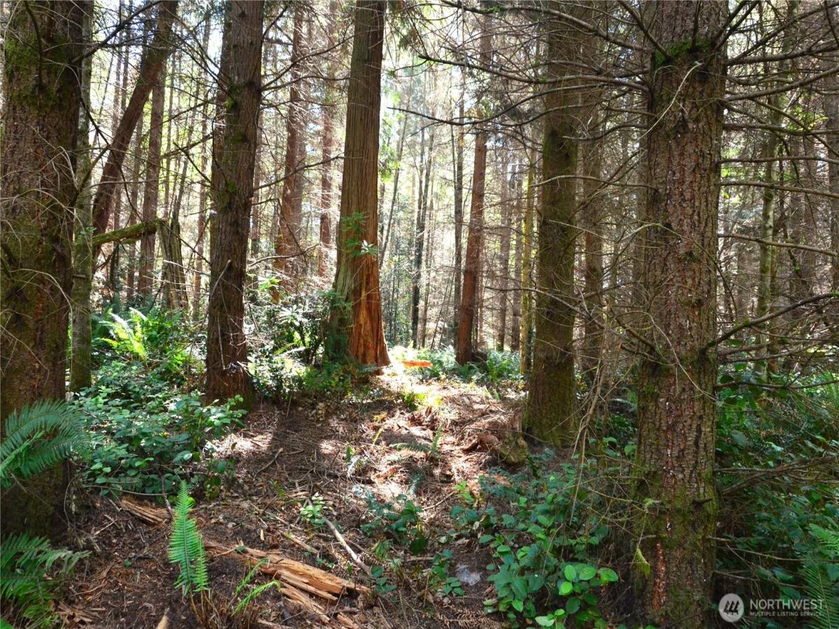 MLS #NWM2559452 image #0