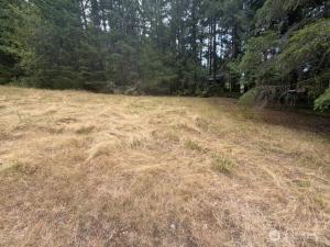 MLS #NWM2561824 image #0