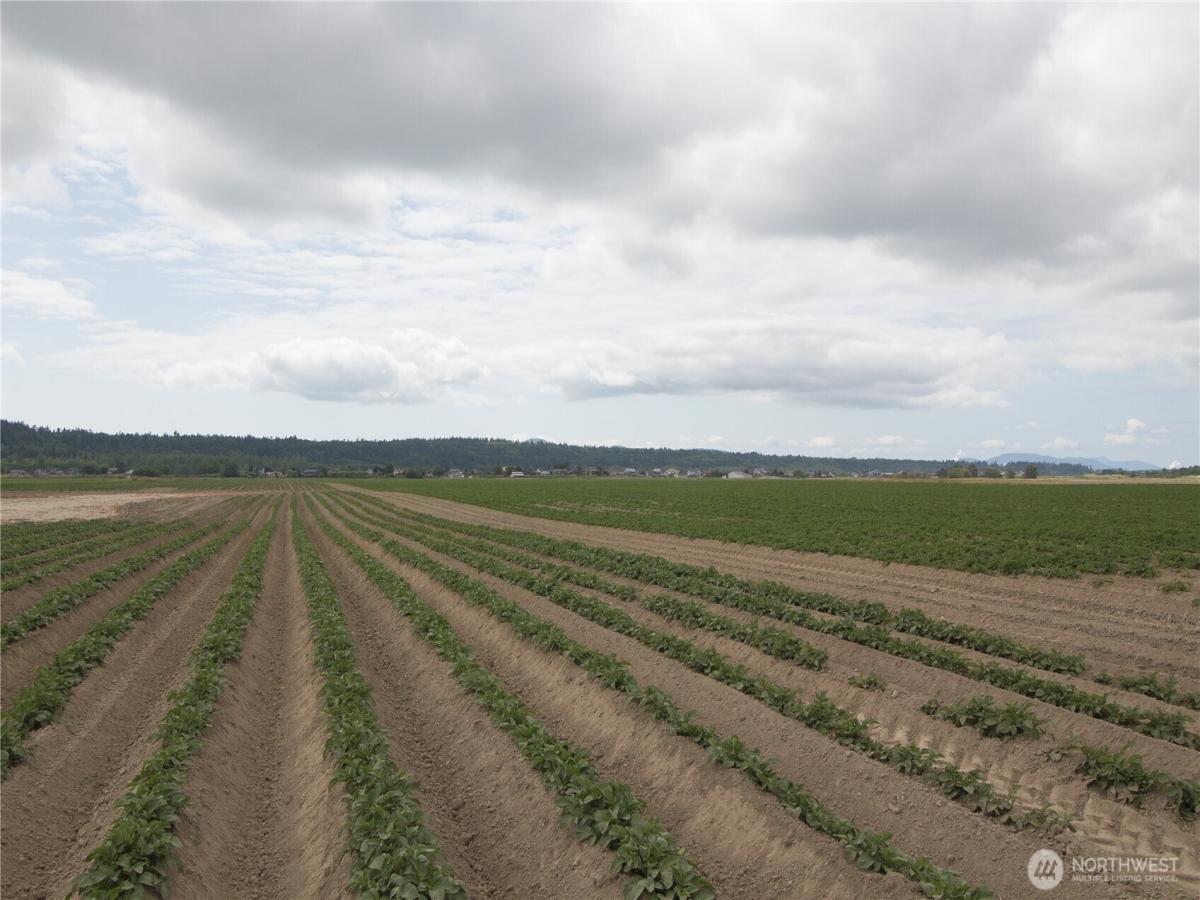 MLS #NWM2563719 image #0
