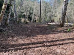 MLS #NWM2564356 image #0