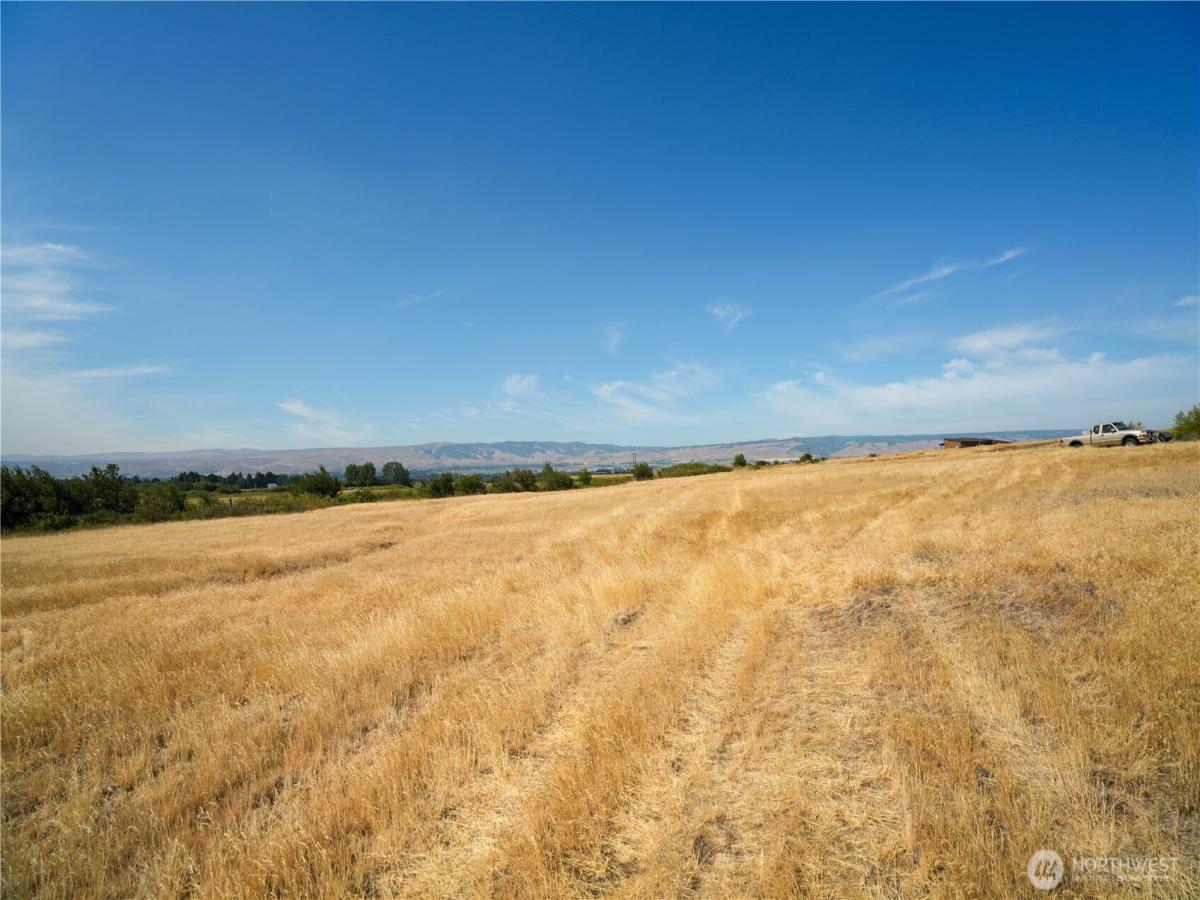 MLS #NWM2565515 image #0