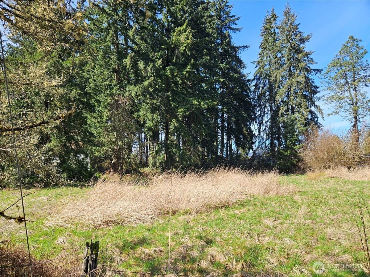 MLS #NWM2569639 image #0